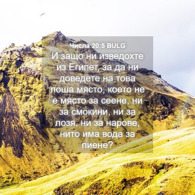 Picture 04 - Числа 20:5 BULG - И защо ни изведохте из - Bible Verse Picture