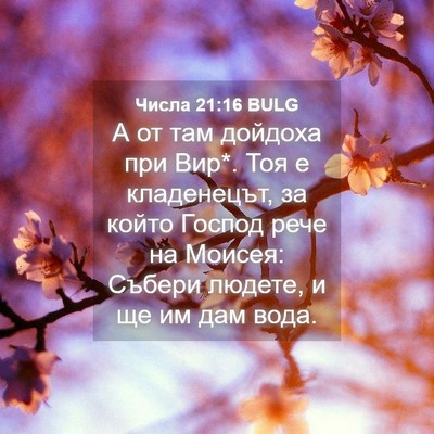 Picture 04 - Числа 21:16 BULG - А от там дойдоха при Вир*. - Bible Verse Picture
