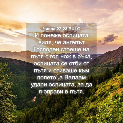 Picture 04 - Числа 22:23 BULG - И понеже ослицата видя, че - Bible Verse Picture