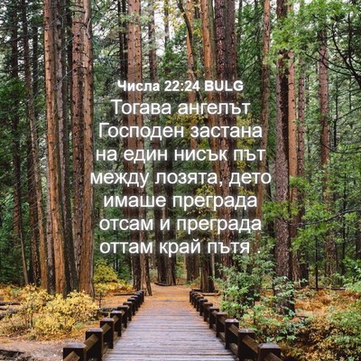 Picture 04 - Числа 22:24 BULG - Тогава ангелът Господен - Bible Verse Picture