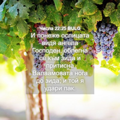 Picture 04 - Числа 22:25 BULG - И понеже ослицата видя - Bible Verse Picture