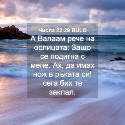Picture 04 - Числа 22:29 BULG - А Валаам рече на ослицата: - Bible Verse Picture