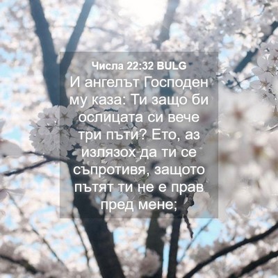 Picture 04 - Числа 22:32 BULG - И ангелът Господен му каза: - Bible Verse Picture