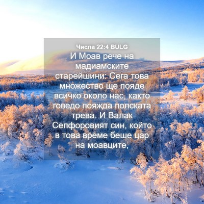 Picture 04 - Числа 22:4 BULG - И Моав рече на мадиамските - Bible Verse Picture