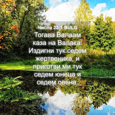 Picture 04 - Числа 23:1 BULG - Тогава Валаам каза на - Bible Verse Picture