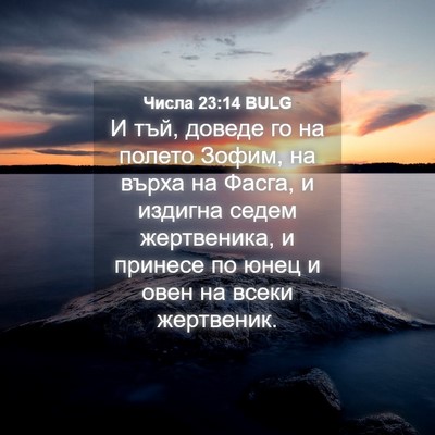 Picture 04 - Числа 23:14 BULG - И тъй, доведе го на полето - Bible Verse Picture