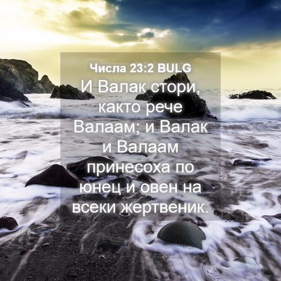 Picture 04 - Числа 23:2 BULG - И Валак стори, както рече - Bible Verse Picture