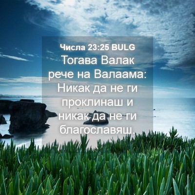 Picture 04 - Числа 23:25 BULG - Тогава Валак рече на - Bible Verse Picture
