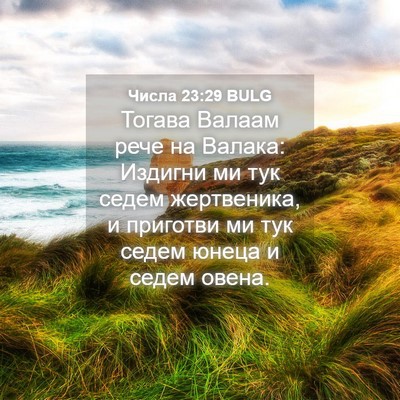 Picture 04 - Числа 23:29 BULG - Тогава Валаам рече на - Bible Verse Picture