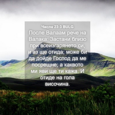 Picture 04 - Числа 23:3 BULG - После Валаам рече на - Bible Verse Picture
