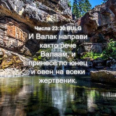 Picture 04 - Числа 23:30 BULG - И Валак направи както рече - Bible Verse Picture