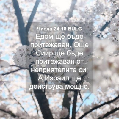 Picture 04 - Числа 24:18 BULG - Едом ще бъде притежаван, - Bible Verse Picture