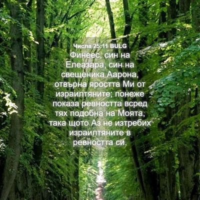 Picture 04 - Числа 25:11 BULG - Финеес, син на Елеазара, - Bible Verse Picture
