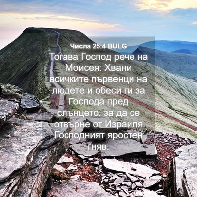 Picture 04 - Числа 25:4 BULG - Тогава Господ рече на - Bible Verse Picture