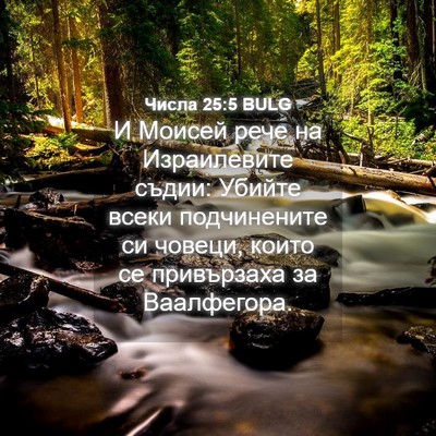 Picture 04 - Числа 25:5 BULG - И Моисей рече на - Bible Verse Picture