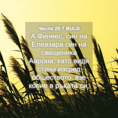 Picture 04 - Числа 25:7 BULG - А Финеес, син на Елеазара - Bible Verse Picture