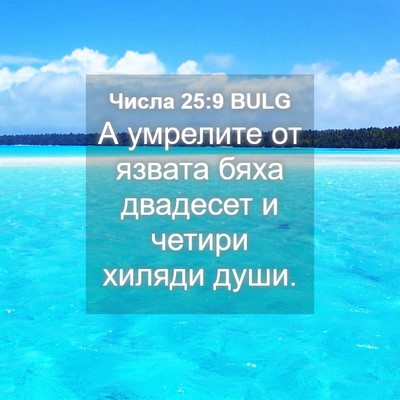 Picture 04 - Числа 25:9 BULG - А умрелите от язвата бяха - Bible Verse Picture