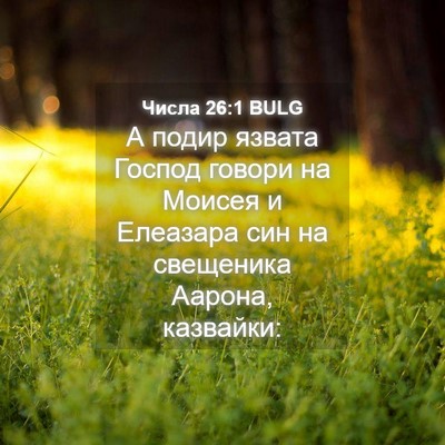 Picture 04 - Числа 26:1 BULG - А подир язвата Господ - Bible Verse Picture