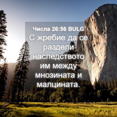 Picture 04 - Числа 26:56 BULG - С жребие да се раздели - Bible Verse Picture