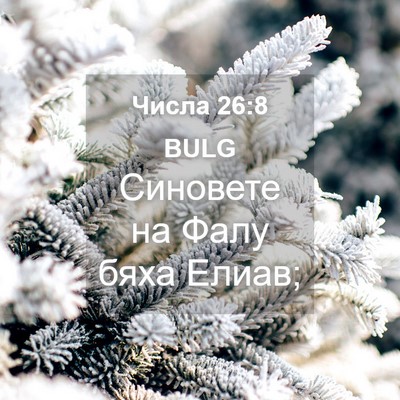 Picture 04 - Числа 26:8 BULG - Синовете на Фалу бяха - Bible Verse Picture