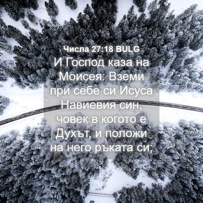 Picture 04 - Числа 27:18 BULG - И Господ каза на Моисея: - Bible Verse Picture