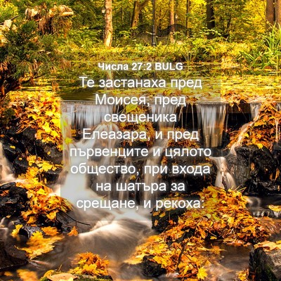 Picture 04 - Числа 27:2 BULG - Те застанаха пред Моисея, - Bible Verse Picture