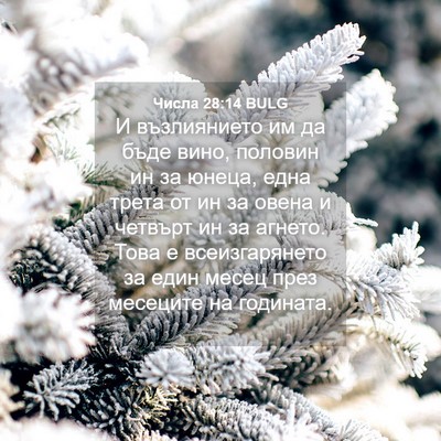 Picture 04 - Числа 28:14 BULG - И възлиянието им да бъде - Bible Verse Picture
