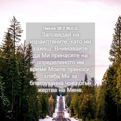 Picture 04 - Числа 28:2 BULG - Заповядай на израилтяните, - Bible Verse Picture