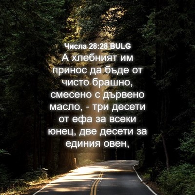 Picture 04 - Числа 28:28 BULG - А хлебният им принос да - Bible Verse Picture