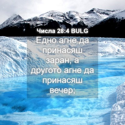 Picture 04 - Числа 28:4 BULG - Едно агне да принасяш - Bible Verse Picture