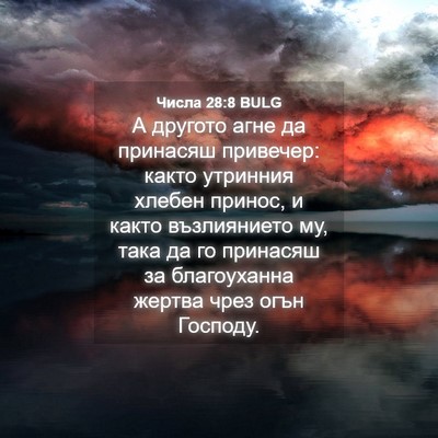 Picture 04 - Числа 28:8 BULG - А другото агне да принасяш - Bible Verse Picture