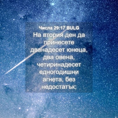 Picture 04 - Числа 29:17 BULG - На втория ден да принесете - Bible Verse Picture