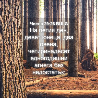 Picture 04 - Числа 29:26 BULG - На петия ден, девет юнеца, - Bible Verse Picture