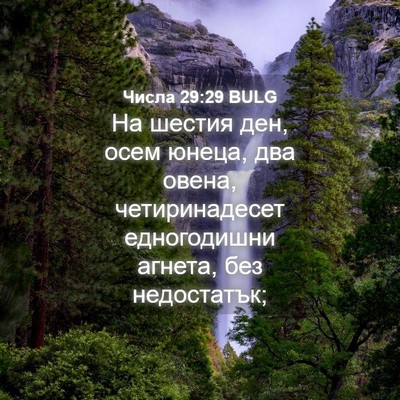Picture 04 - Числа 29:29 BULG - На шестия ден, осем юнеца, - Bible Verse Picture