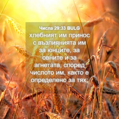 Picture 04 - Числа 29:33 BULG - хлебният им принос с - Bible Verse Picture