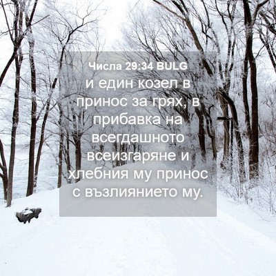 Picture 04 - Числа 29:34 BULG - и един козел в принос за - Bible Verse Picture