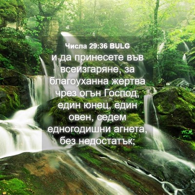 Picture 04 - Числа 29:36 BULG - и да принесете във - Bible Verse Picture