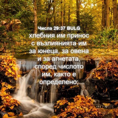 Picture 04 - Числа 29:37 BULG - хлебния им принос с - Bible Verse Picture