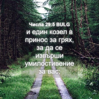 Picture 04 - Числа 29:5 BULG - и един козел в принос за - Bible Verse Picture
