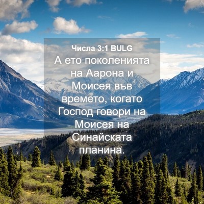 Picture 04 - Числа 3:1 BULG - А ето поколенията на - Bible Verse Picture