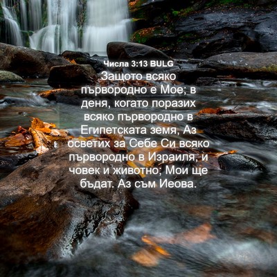 Picture 04 - Числа 3:13 BULG - Защото всяко първородно е - Bible Verse Picture