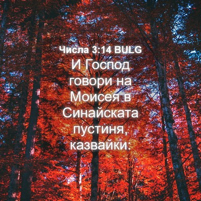 Picture 04 - Числа 3:14 BULG - И Господ говори на Моисея в - Bible Verse Picture