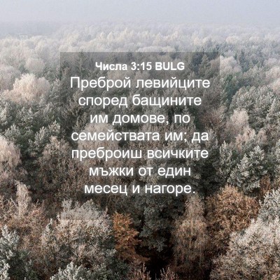 Picture 04 - Числа 3:15 BULG - Преброй левийците според - Bible Verse Picture