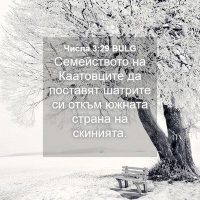 Picture 04 - Числа 3:29 BULG - Семейството на Каатовците - Bible Verse Picture