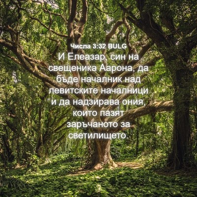 Picture 04 - Числа 3:32 BULG - И Елеазар, син на свещеника - Bible Verse Picture
