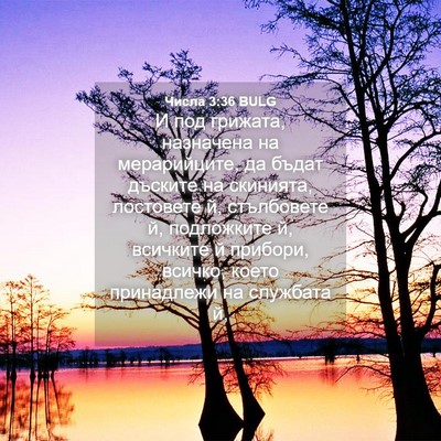 Picture 04 - Числа 3:36 BULG - И под грижата, назначена на - Bible Verse Picture