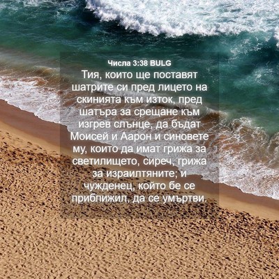 Picture 04 - Числа 3:38 BULG - Тия, които ще поставят - Bible Verse Picture