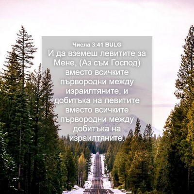 Picture 04 - Числа 3:41 BULG - И да вземеш левитите за - Bible Verse Picture