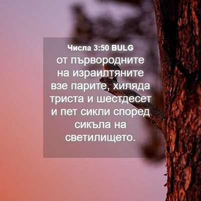 Picture 04 - Числа 3:50 BULG - от първородните на - Bible Verse Picture
