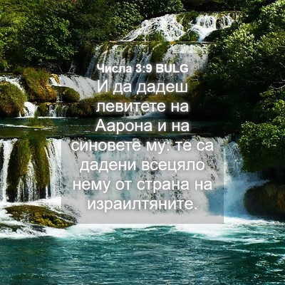 Picture 04 - Числа 3:9 BULG - И да дадеш левитете на - Bible Verse Picture